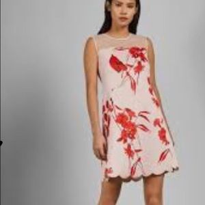 Ted Baker JAAZMAN Dress